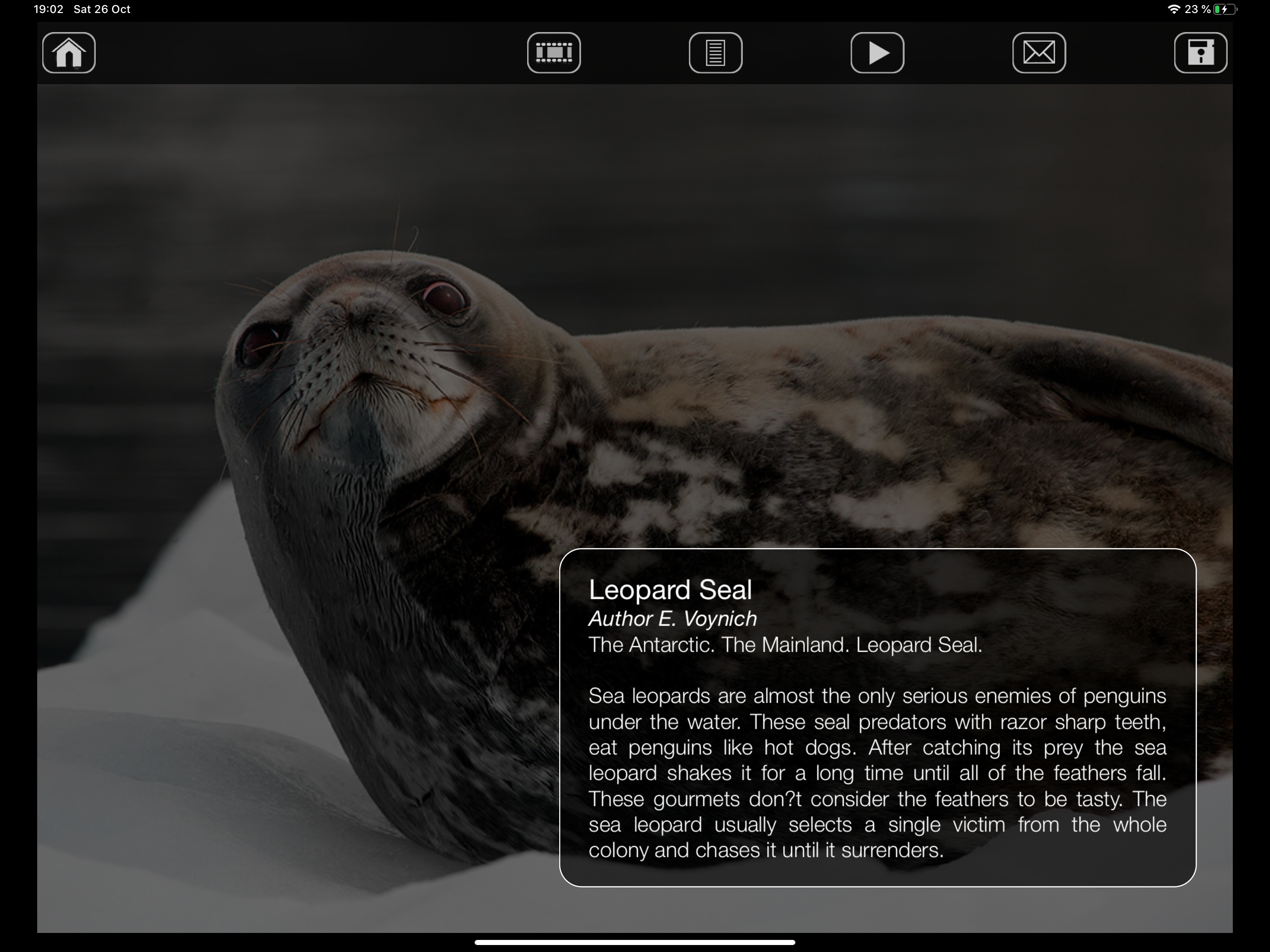 Album Antarctic
