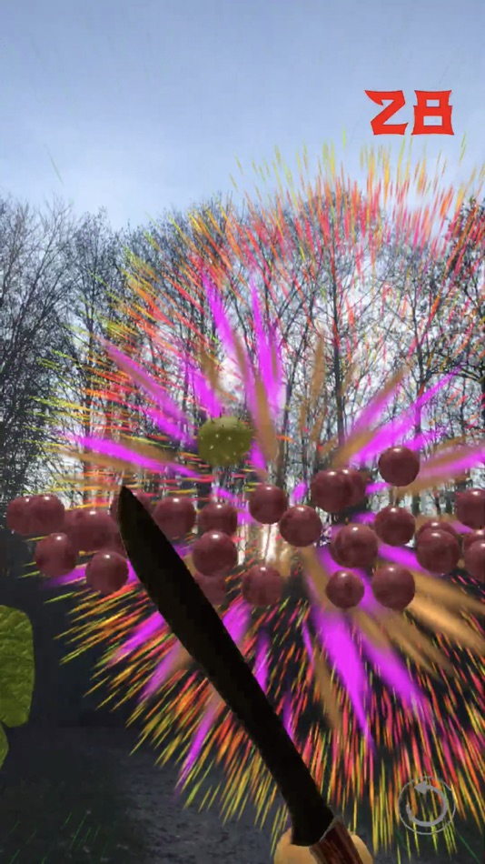 #7. Fruit Warrior AR (iOS) By: Philippe Zay