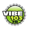 Vibe 103 FM Pro problems & troubleshooting and solutions