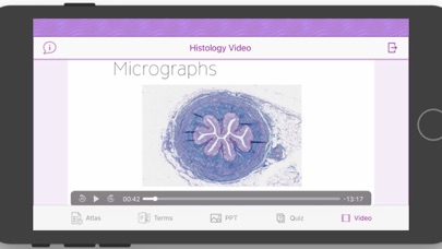 Histology Cell Tissue Screenshot 9 of 10