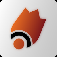 Bullink logo