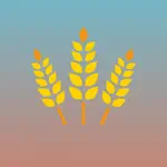 DailyRice App Alternatives