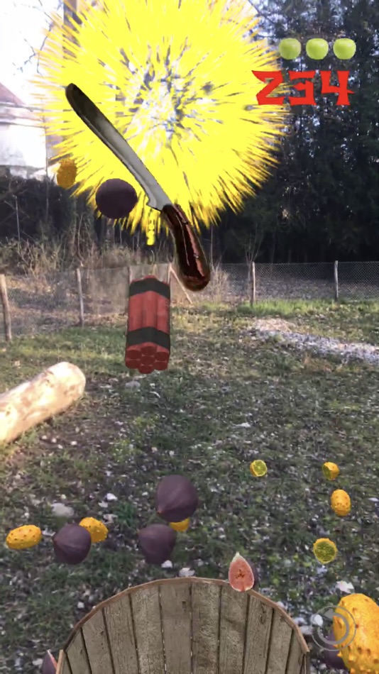 #8. Fruit Warrior AR (iOS) By: Philippe Zay