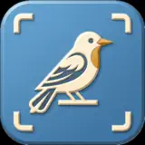 Birdr AI: Bird Identifier - App Icon
