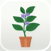 Plant Identifier AI - Plantoni icon