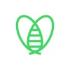 Carius