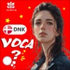 Learn Danish Voca Flashcards icon