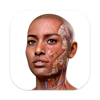 Complete Anatomy icon