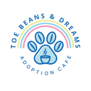Toe Beans & Dreams