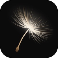 Dandelion: Write and Let Go icon