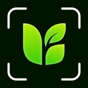 PlantLoom：Plant Identifier