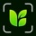 PlantLoom：Plant Identifier