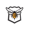 Swarm Fitness icon