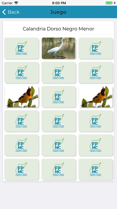 Aves de Cozumel iPhone screenshot