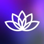 TRIPP Vision app icon
