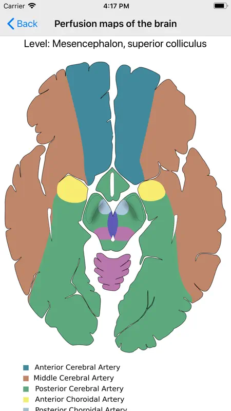 Neuro Assistant screenshot 1 of 9