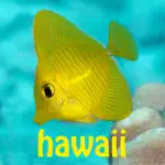 Snorkel Fish Hawaii for iPhone App Positive Reviews