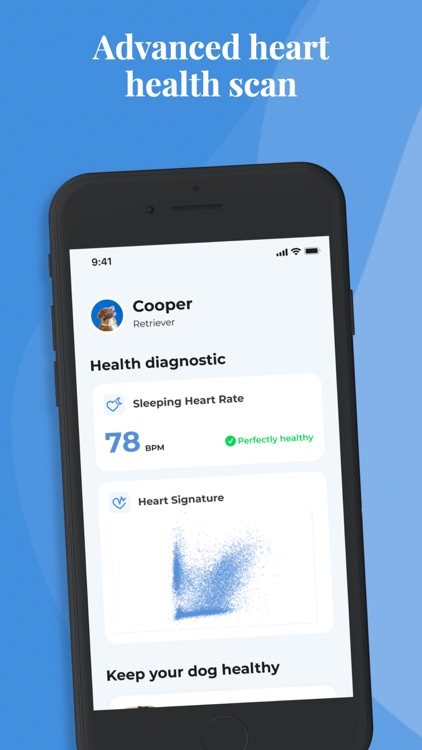 Invoxia Biotracker GPS for dog