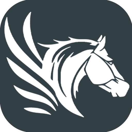 Tulpar Dergi - At Yarışı