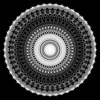 Symmetry Lab Basic