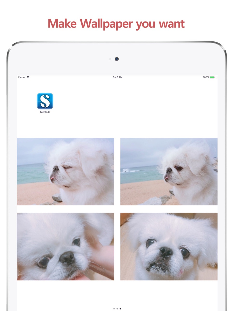 iPad screenshot