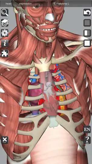 Screenshot von 3D Anatomy Learning auf dem iPhone 5