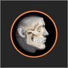 AROMS - Advancing OMS icon
