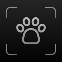 AI Bug Identifier・Insect Bugs