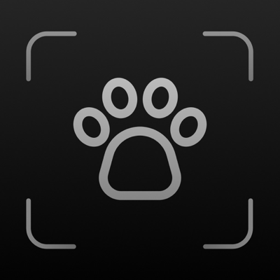 Scanner Insetti・Bug Identifier