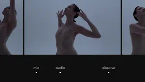 Nizo screenshot 4