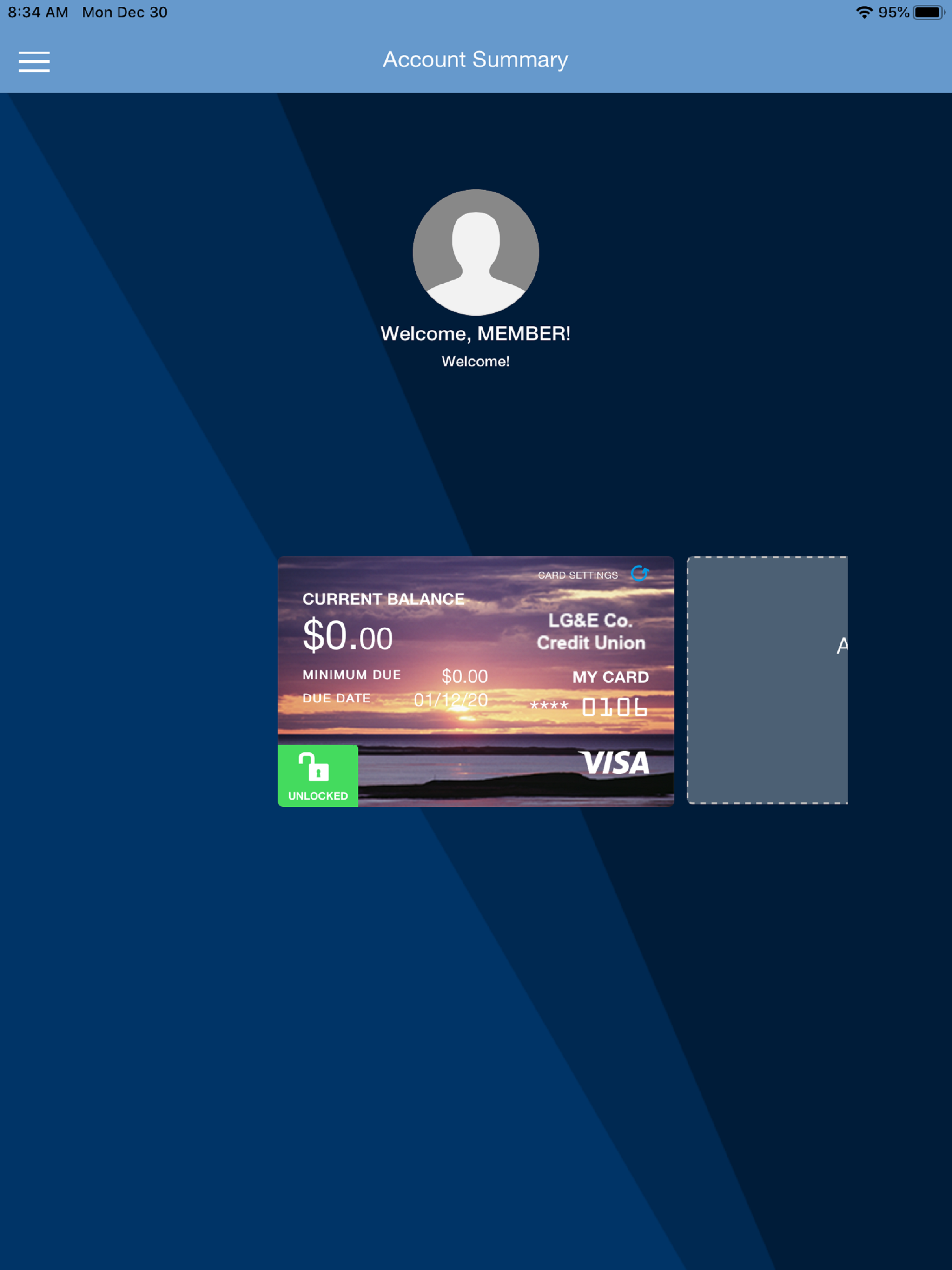 LGECU VISA screenshot 9
