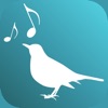 Amsel - Build up your Voice icon