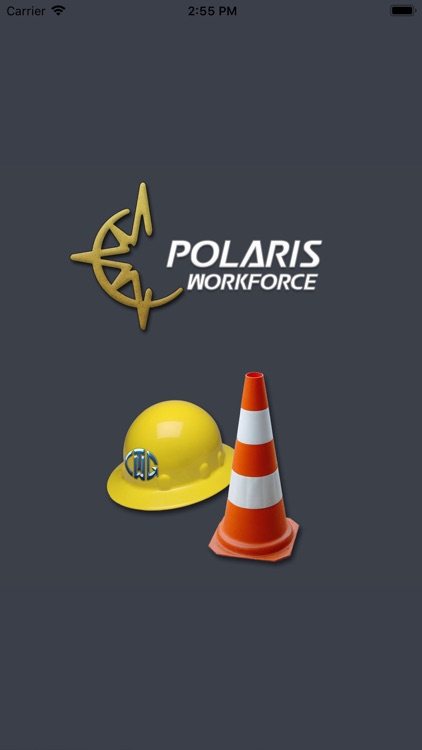 Polaris Workforce