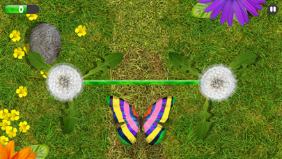 Bug Art iPhone screenshot 8 - Education app