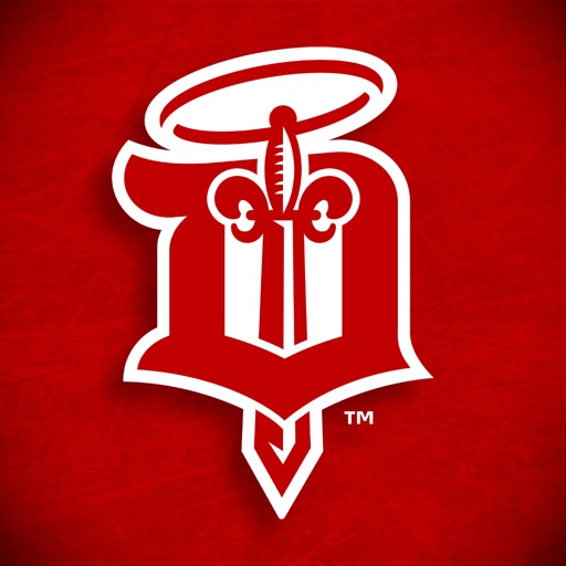 Dubuque Fighting Saints