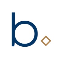 Brichelle Diamonds app icon - Business app for iPhone