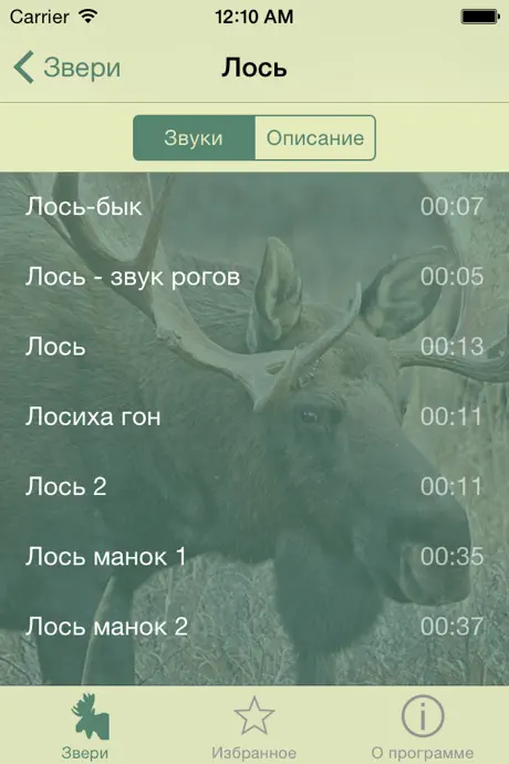 Манок на зверя