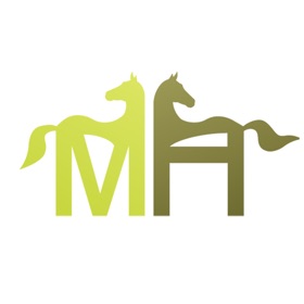 螢幕擷取畫面 (4) My Horsez