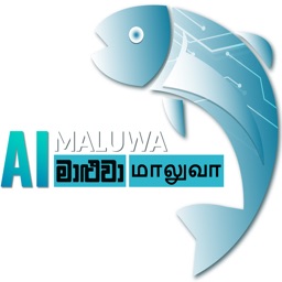 AIMaluwa