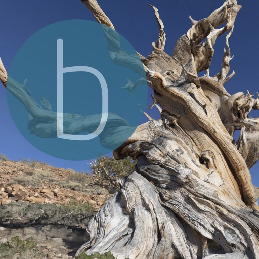 BP Explore Esoteric app icon