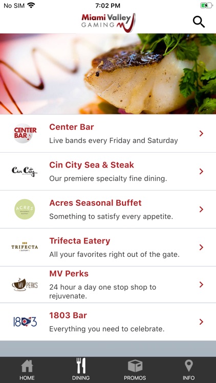 MV Gaming screenshot-3