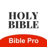 Get BiblePro 主内圣经 for iOS, iPhone, iPad Aso Report