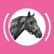 Revista Palermo Digital