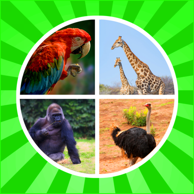 Aprende Nombres Animales