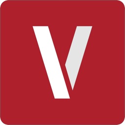 VIZpin Smart