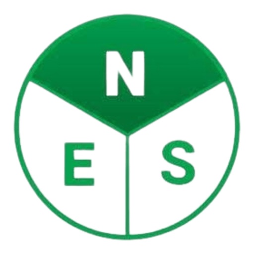 NESConnect