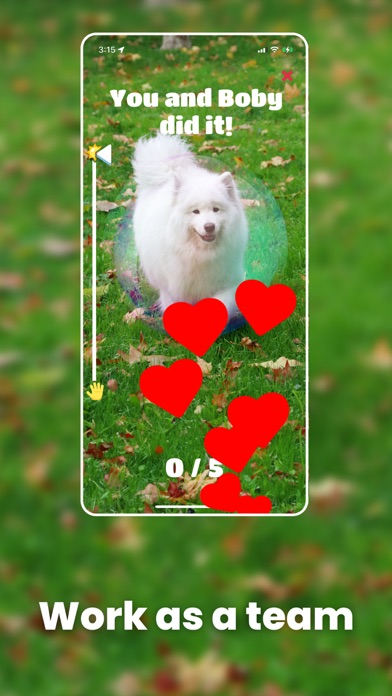 Train your Dog - Dognito Screenshot
