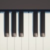 Piano Play & Learn