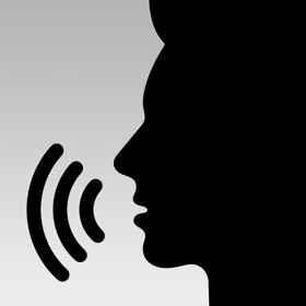 Voice Changer: VO mod