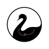 WeAreSwansea - Live Scores icon